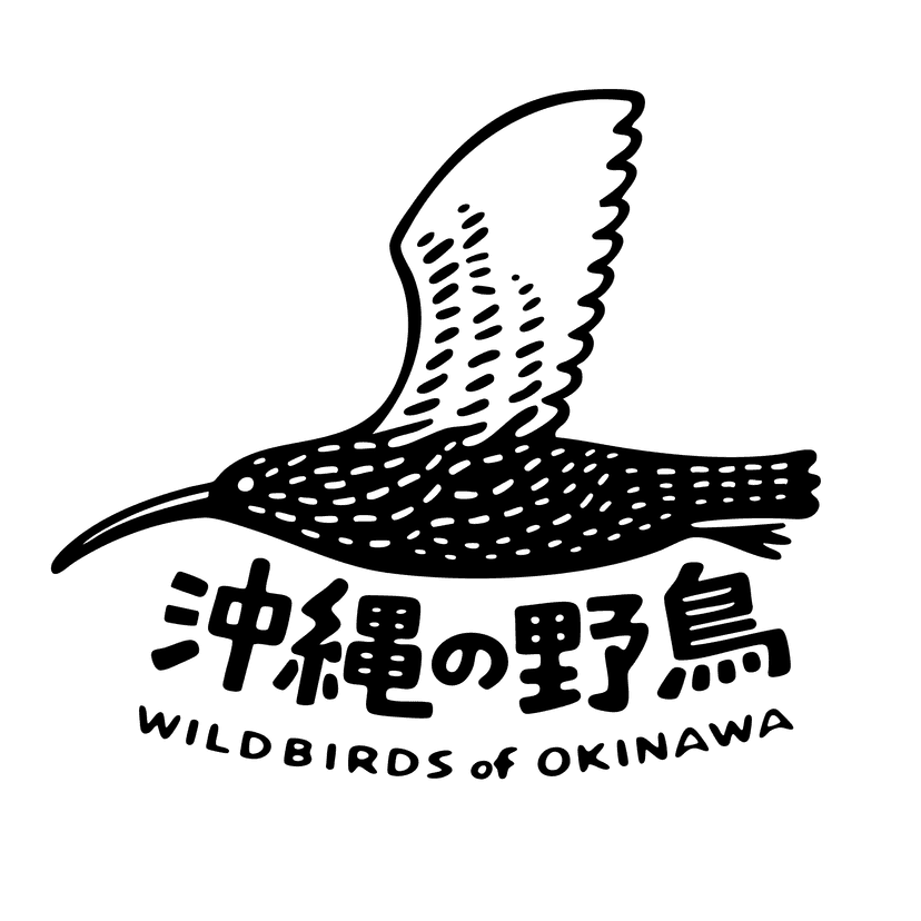 沖縄野鳥